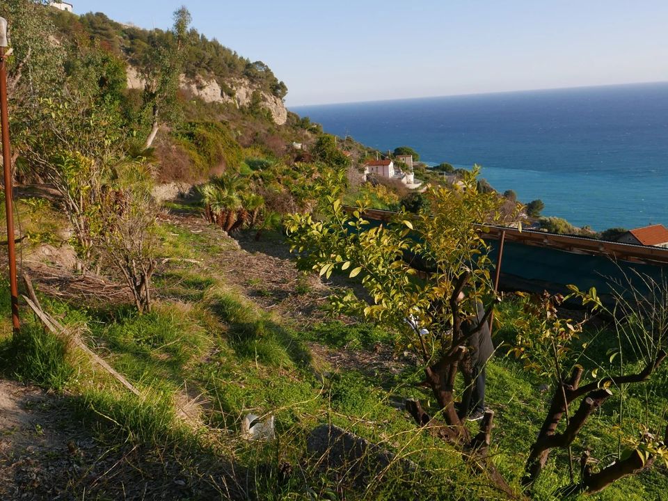 Helårsgrund i Ventimiglia, Imperia - foto 4