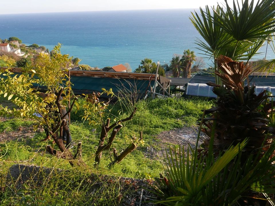 Helårsgrund i Ventimiglia, Imperia - foto 5