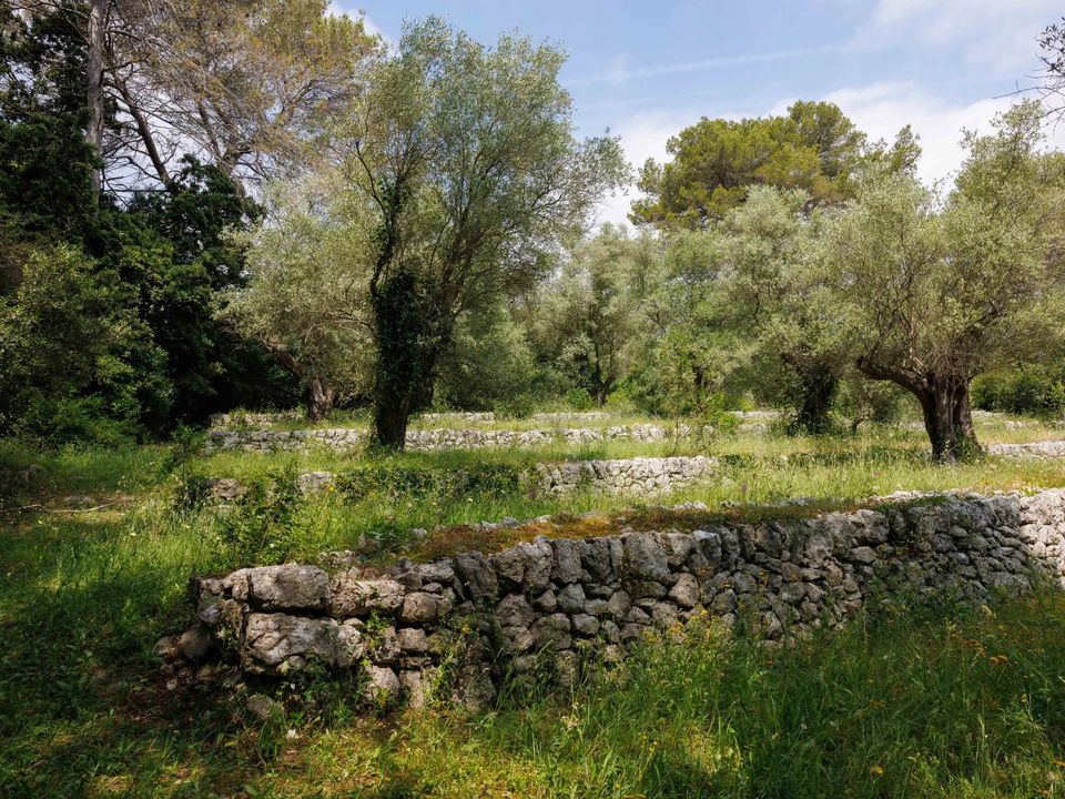 Villa i La Colle-sur-Loup, Alpes-Maritimes - foto 4
