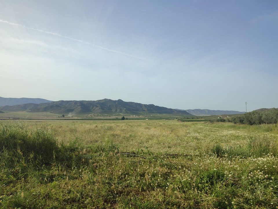 Landejendom i Jumilla, Murcia - foto 2