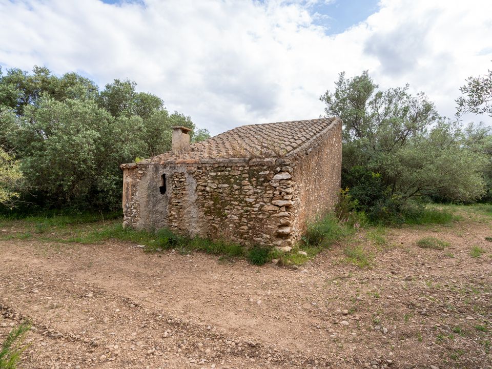 Finca i Tortosa, Tarragona - bilde 5