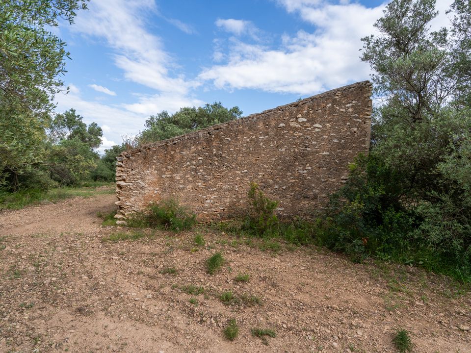 Finca i Tortosa, Tarragona - bilde 4