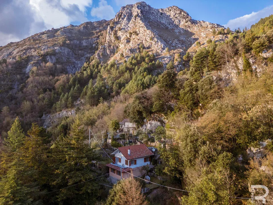 Villa i Massa, Massa and Carrara - foto 2