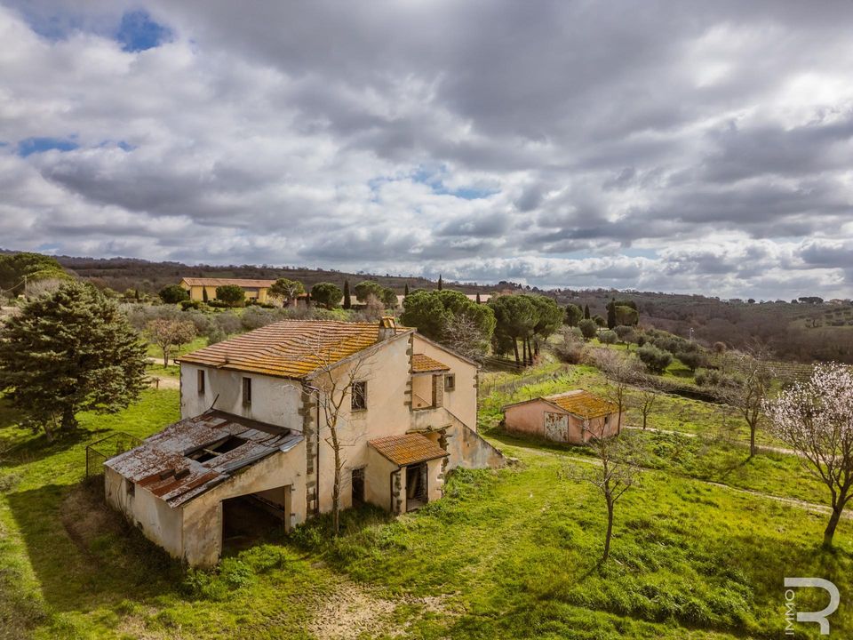 Herregård i Scansano, Grosseto - bilde 3