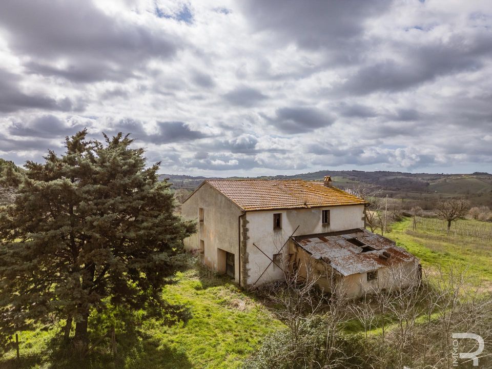 Herregård i Scansano, Grosseto - bilde 5