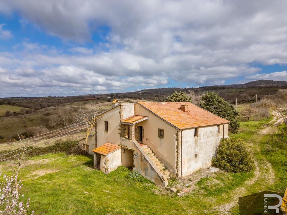Herregård i Scansano, Grosseto - bilde 1