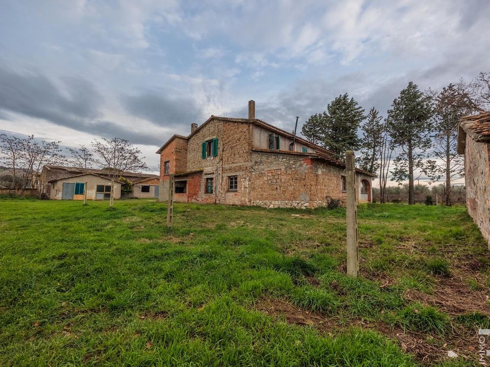 Maatalo Cinigianossa, Grosseto - kuva 3