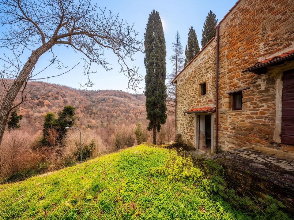 Landejendom i Castiglion Fibocchi, Arezzo - foto 4