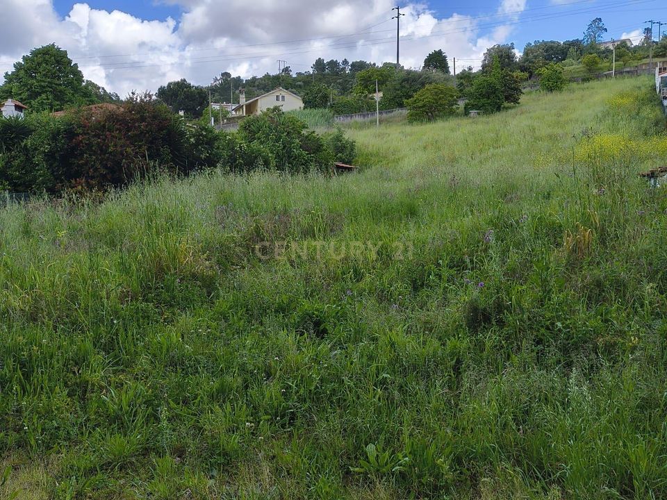 Helårsgrund i Alcobaca, Leiria - foto 3