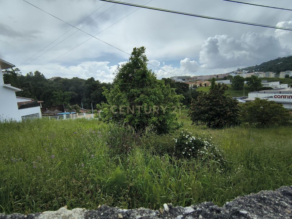 Helårsgrund i Alcobaca, Leiria - foto 5