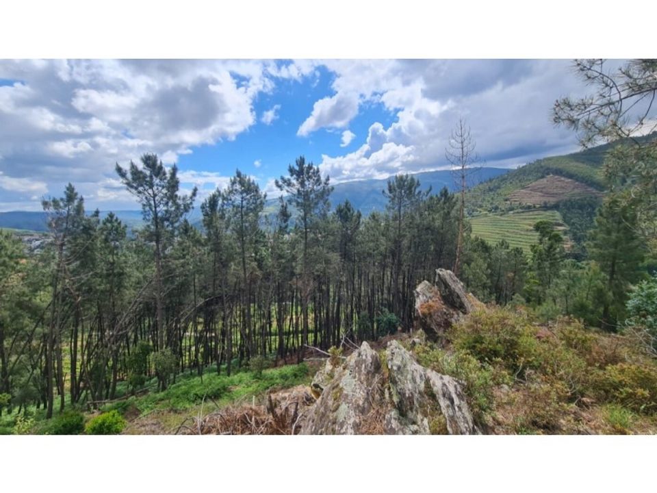 Helårsgrund i Gestaco, Porto - foto 4