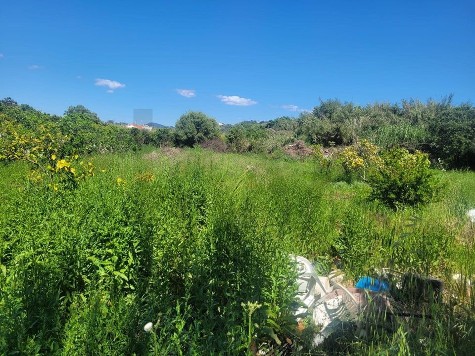 Helårsgrund i Silves, Faro - foto 5