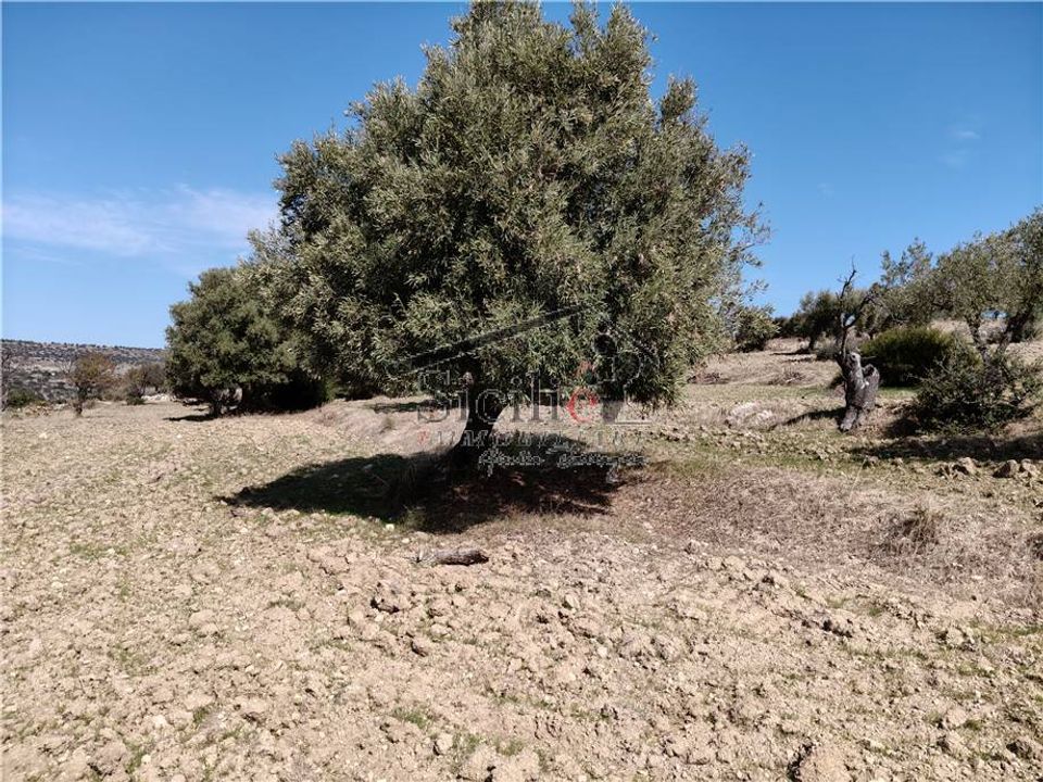 Helårsgrund i Scicli, Ragusa - foto 4