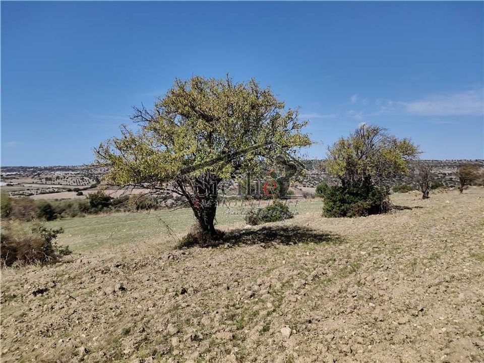 Helårsgrund i Scicli, Ragusa - foto 2