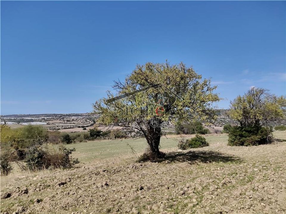 Helårsgrund i Scicli, Ragusa - foto 5