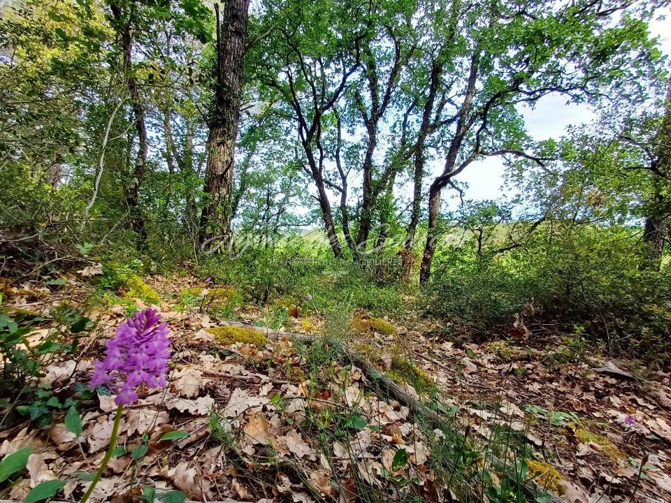 Helårsgrund i Bras, Var - foto 2