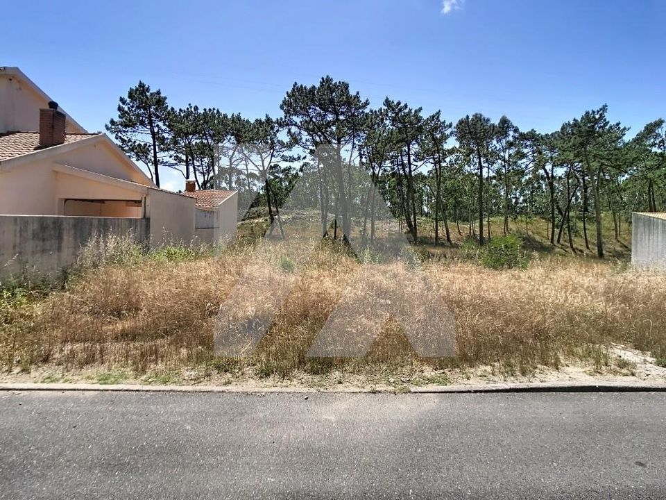 Helårsgrund i Murtosa, Aveiro - foto 5