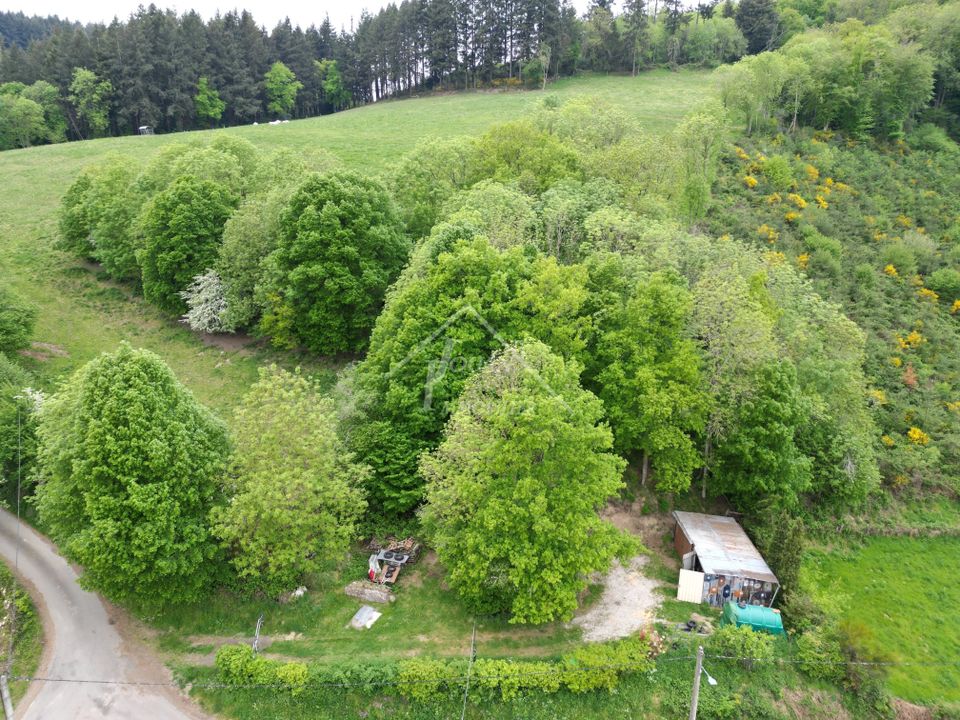 Villa - Teilhet, Puy-de-Dome - photo 3
