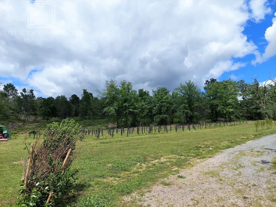 Villa i Riberac, Dordogne - foto 3