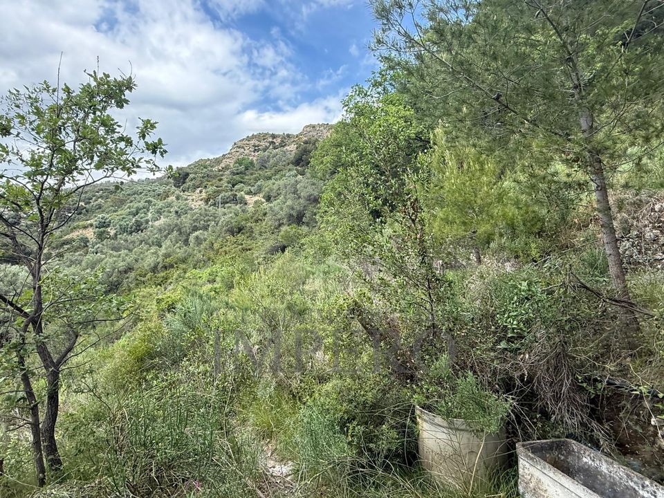 Erhvervsejendom i Ventimiglia, Imperia - foto 2