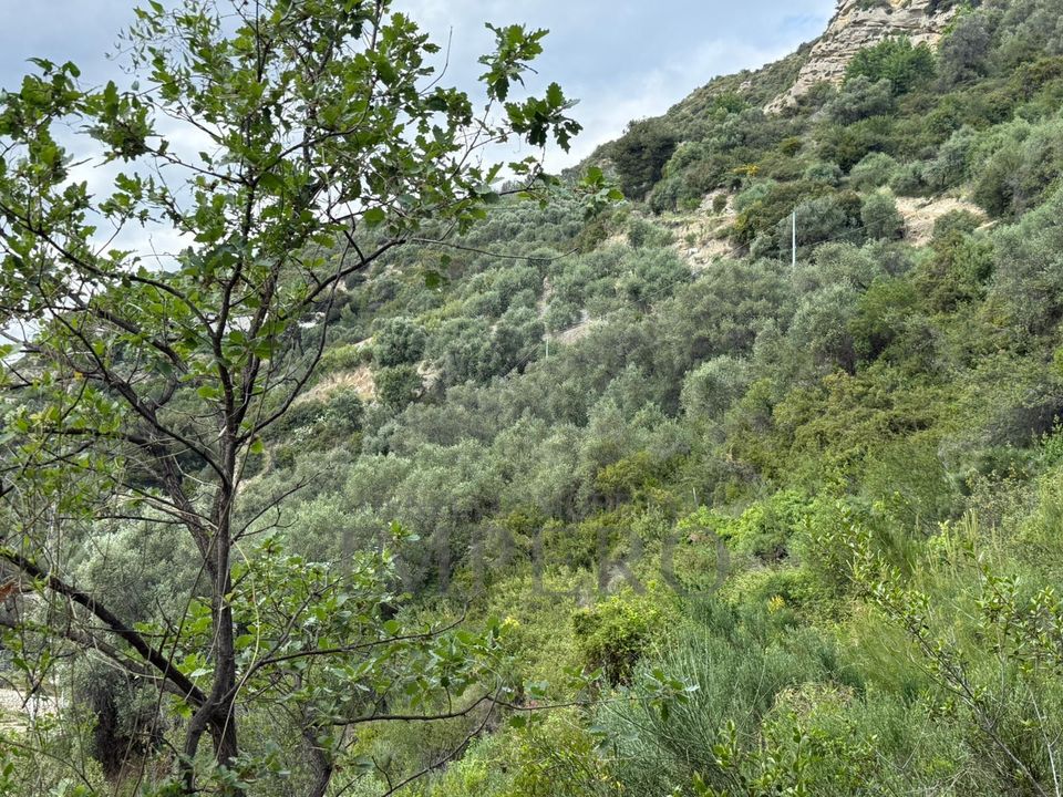 Erhvervsejendom i Ventimiglia, Imperia - foto 4