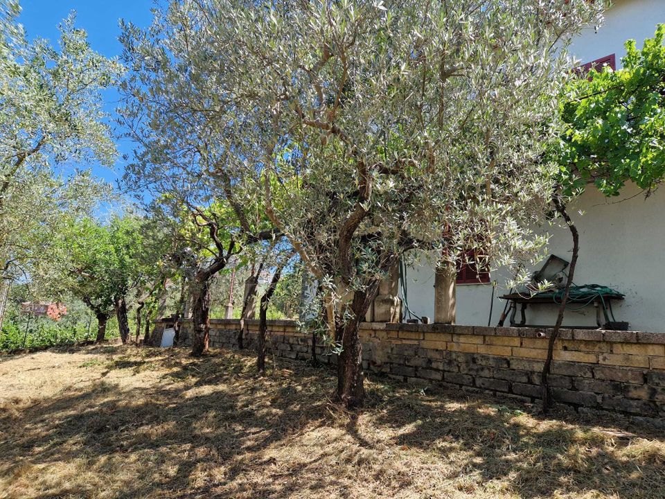 Villa en Paliano, Frosinone - foto 4
