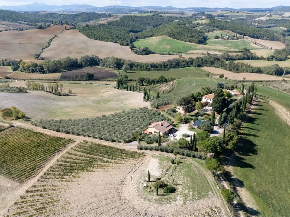 Farm i Montalcino, Siena - foto 1