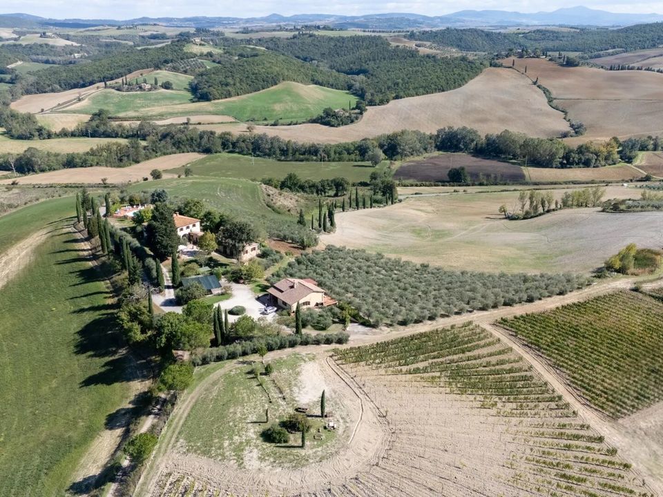 Farm i Montalcino, Siena - foto 2