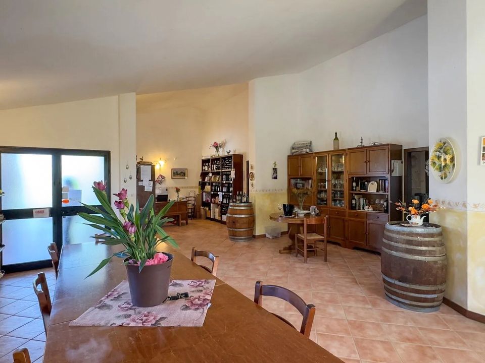 Farm i Montalcino, Siena - foto 4