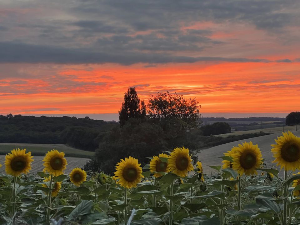 Villa en Pérignac, Charente - foto 2
