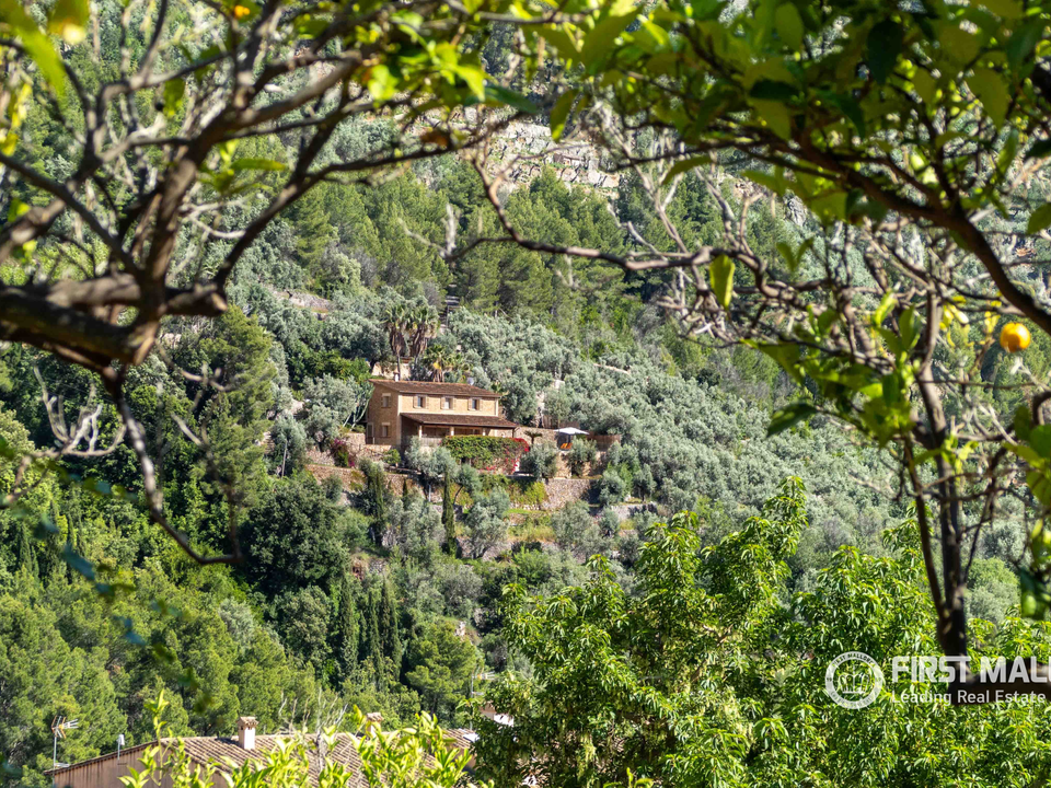 Finca i Fornalutx, Mallorca - foto 3