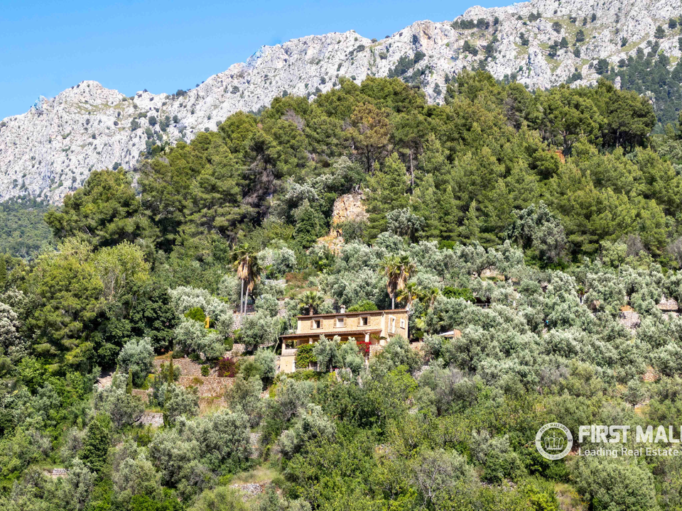 Finca i Fornalutx, Mallorca - foto 4