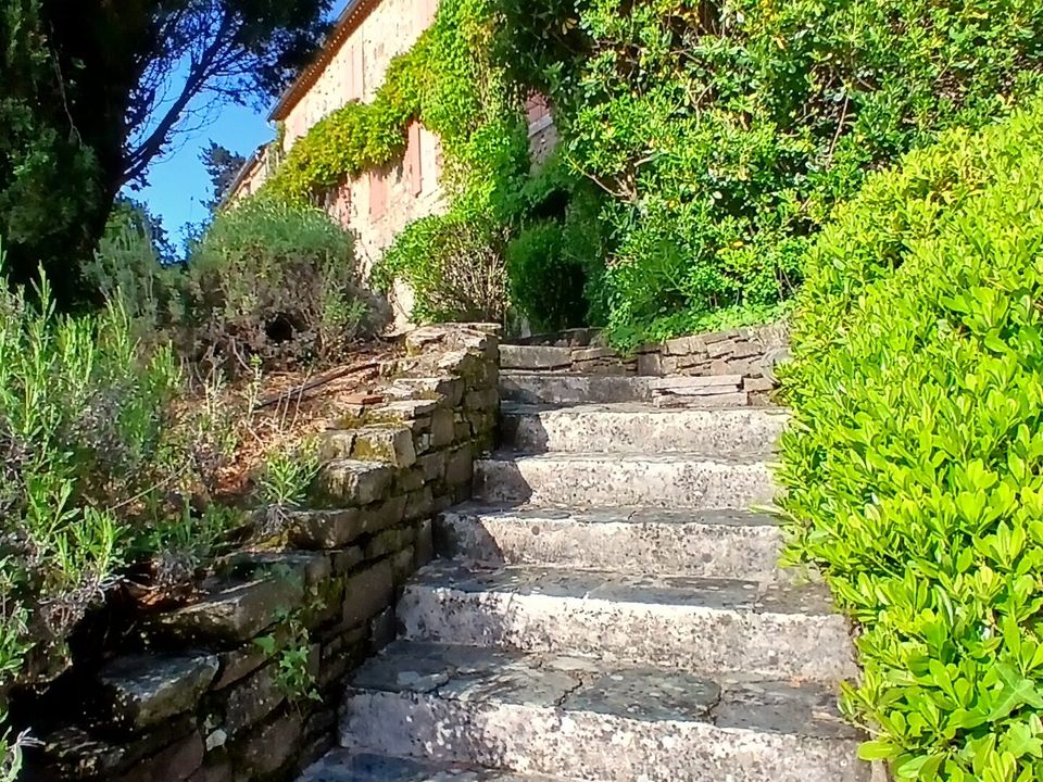 Villa i Saint-Chinian, Herault - foto 5