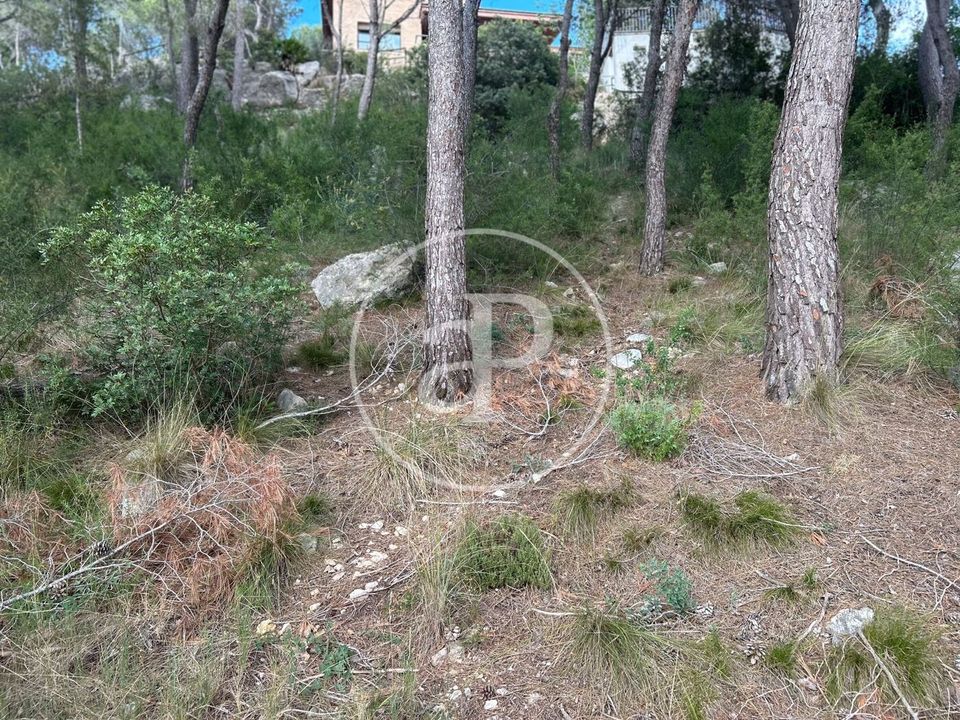 Helårsgrund i Chiva, Valencia - foto 4