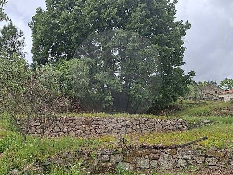 Farm hus i Fornos de Algodres, Guarda - foto 4
