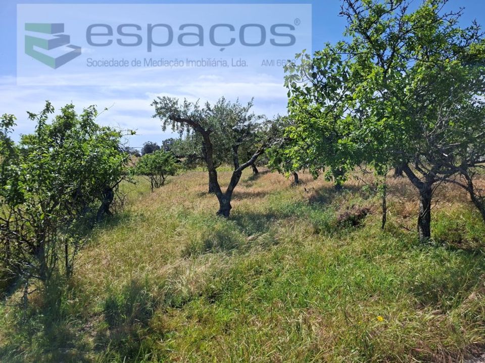 Helårsgrund i Vale de Prazeres e Mata da Rainha, Castelo Branco - foto 3