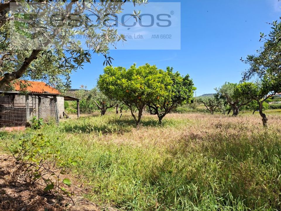Helårsgrund i Vale de Prazeres e Mata da Rainha, Castelo Branco - foto 4