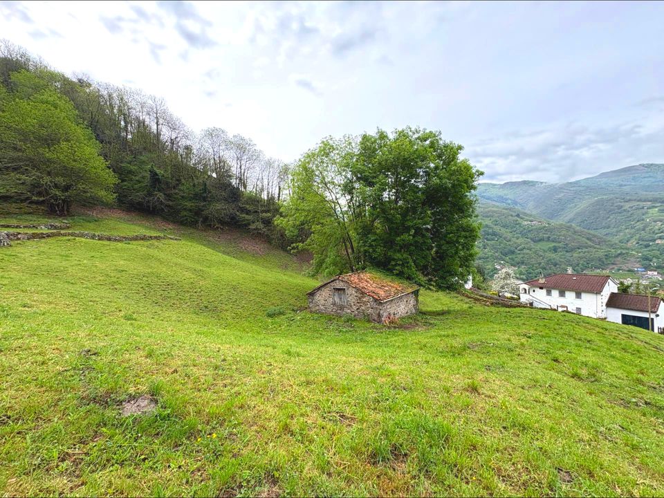 Herregård i Aller, Asturias - bilde 1
