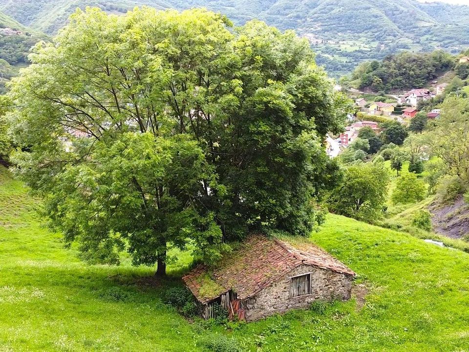 Herregård i Aller, Asturias - bilde 2