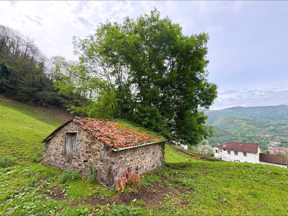 Herregård i Aller, Asturias - bilde 3