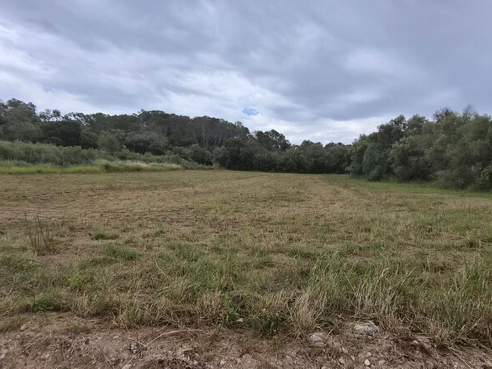 Helårsgrund i Costitx, Mallorca - foto 1