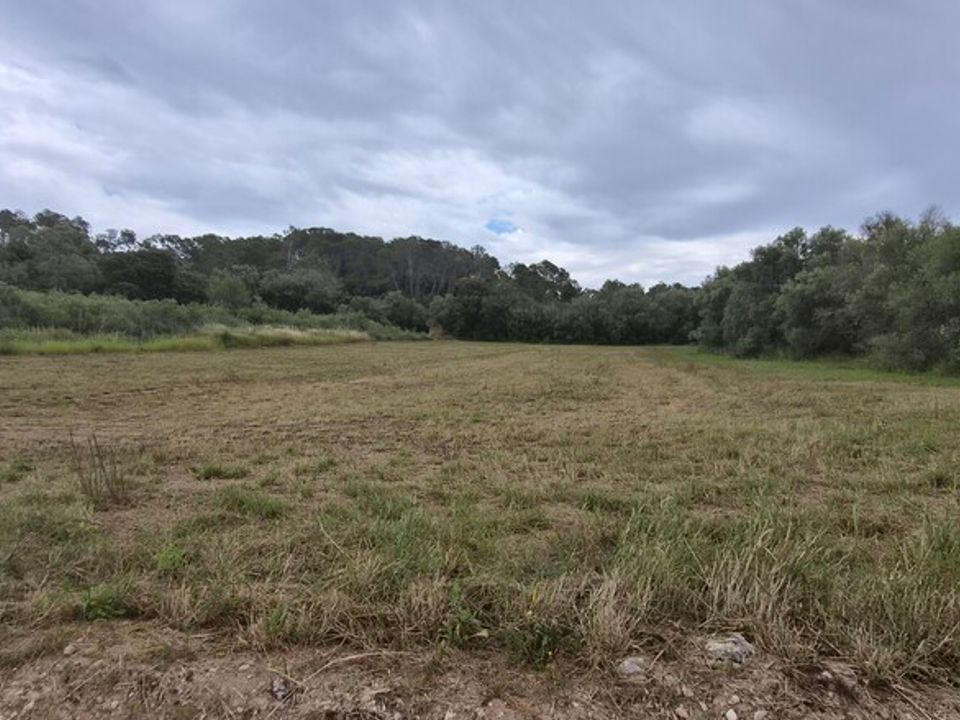 Helårsgrund i Costitx, Mallorca - foto 3