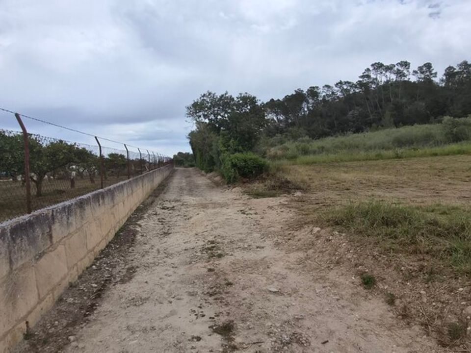 Helårsgrund i Costitx, Mallorca - foto 4
