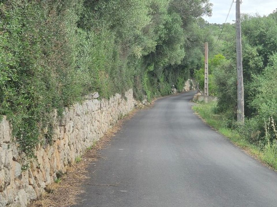 Helårsgrund i Costitx, Mallorca - foto 5