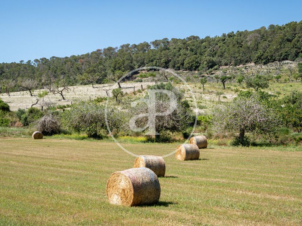 Helårsgrund i Montuiri, Mallorca - foto 2