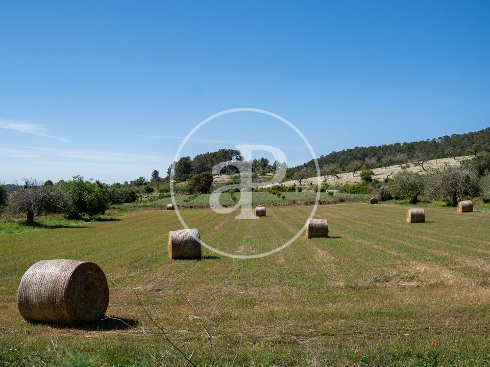 Helårsgrund i Montuiri, Mallorca - foto 3