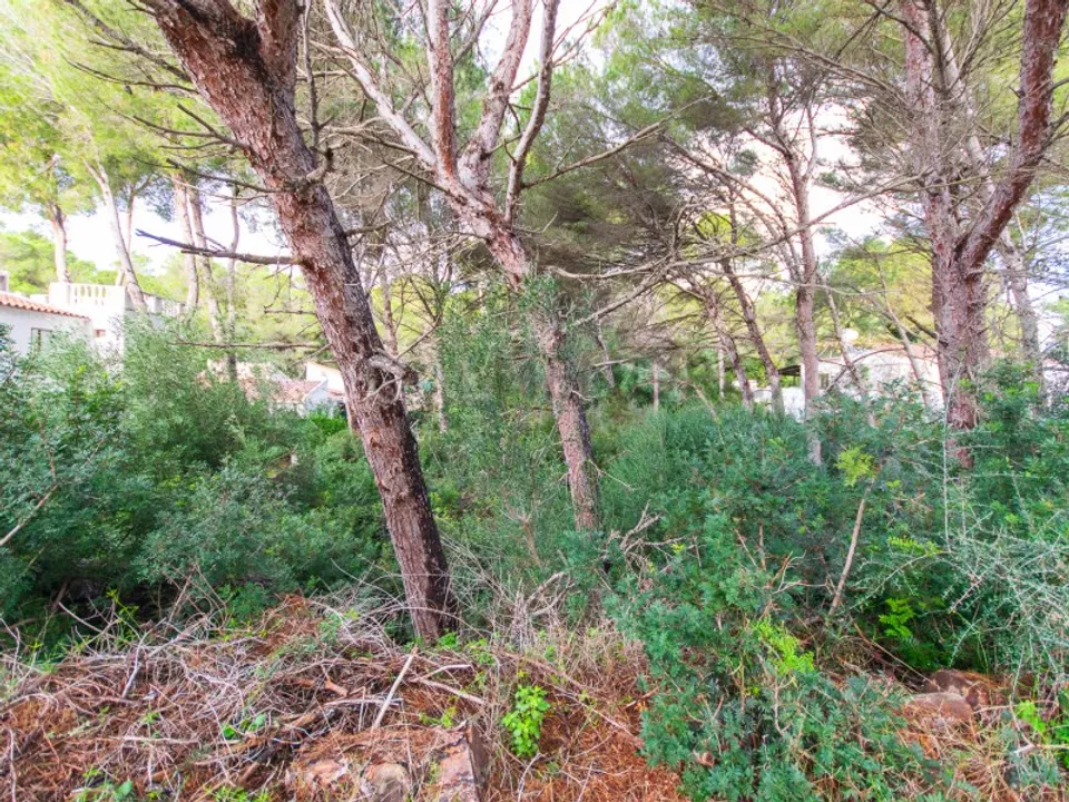 Grond in Son Parc, Menorca - foto 2
