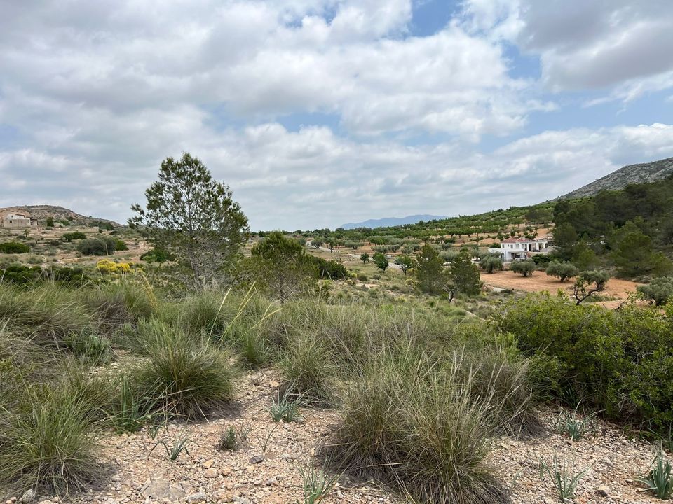 Helårsgrund i Hondon De Las Nieves, Alicante - foto 2