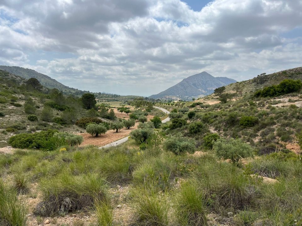 Helårsgrund i Hondon De Las Nieves, Alicante - foto 3