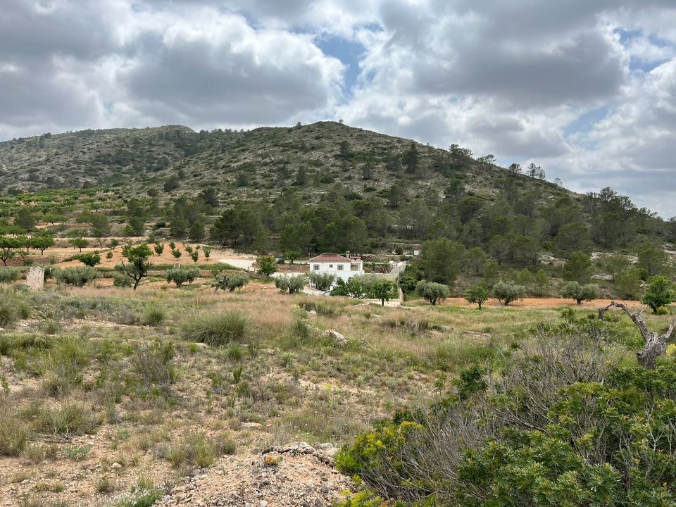 Helårsgrund i Hondon De Las Nieves, Alicante - foto 4